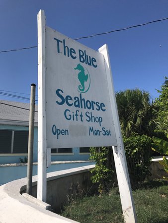 The Blue Seahorse Gift Shop
