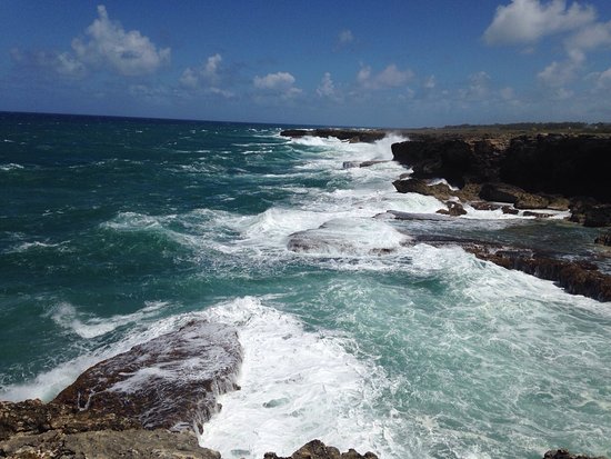 Andy Wood Taxi & Tours