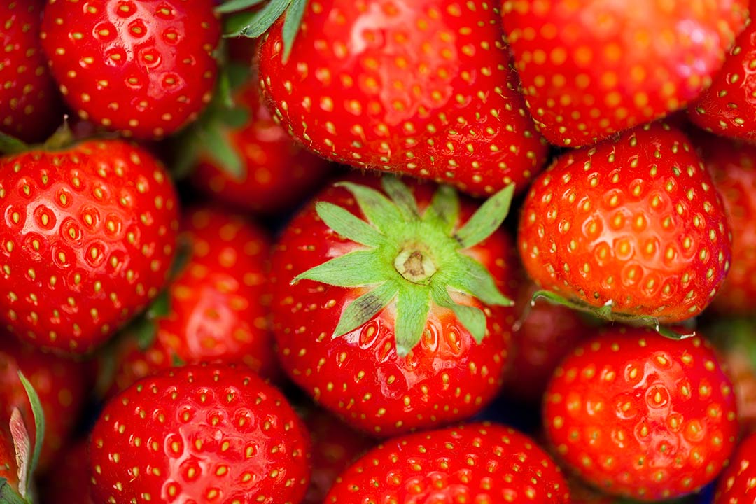 Küppers Erdbeeren
