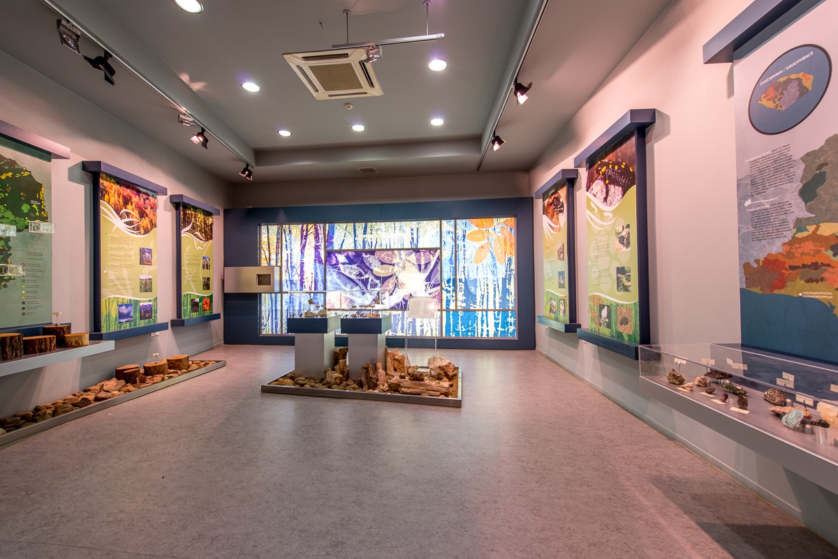 Alexandroupolis Natural History Museum
