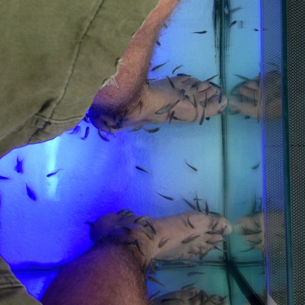 Fish Spa Experience