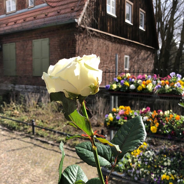 Waldfriedhof Heerstraße