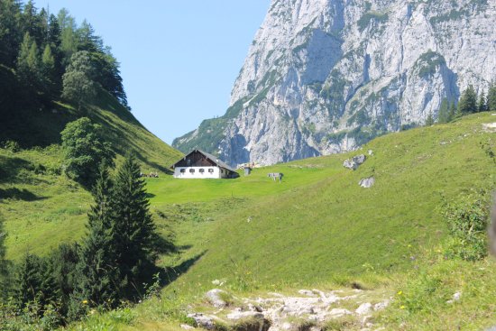 Halsalm