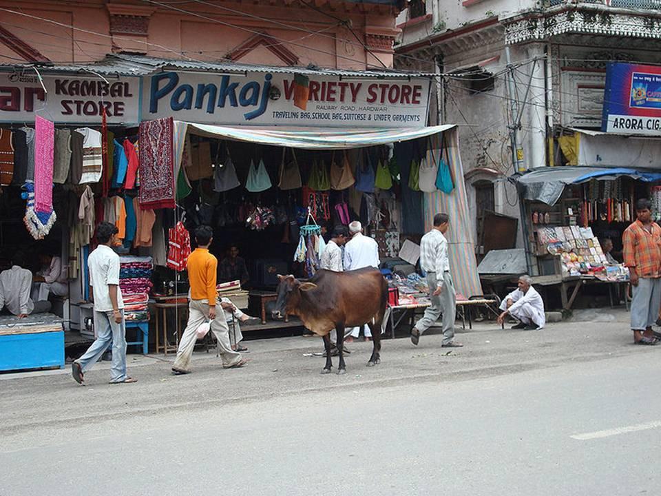 Moti Bazaar