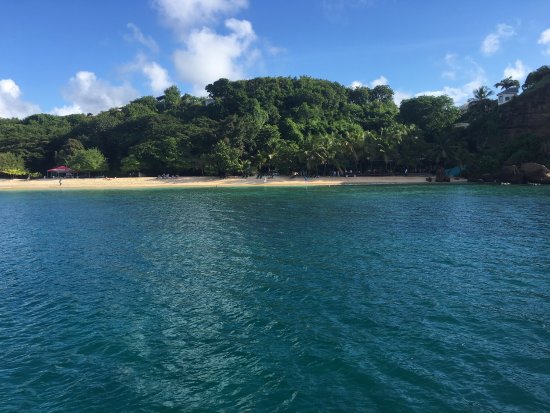 Caribbean Horizons - Rentals, Tours & Services