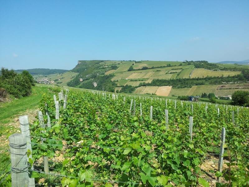 Domaine du Roure