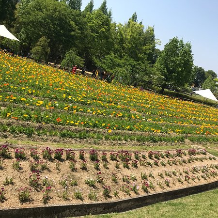 Tondabayashi Savor Farm