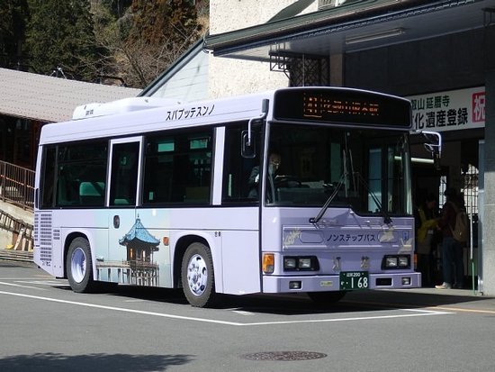 Kojak Bus