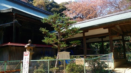 The Ruins of Yamazaki Castle