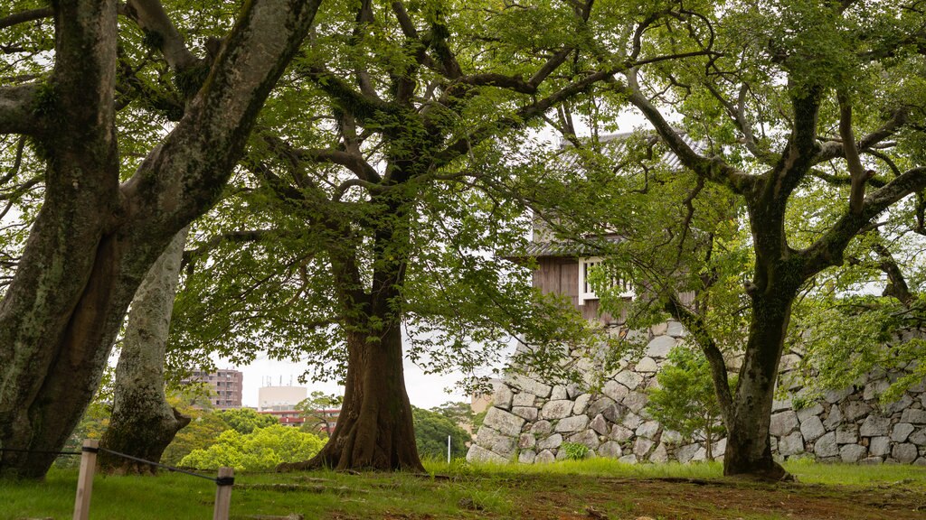 Kifune Park