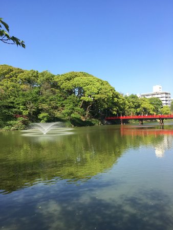 Kawazoko Pond