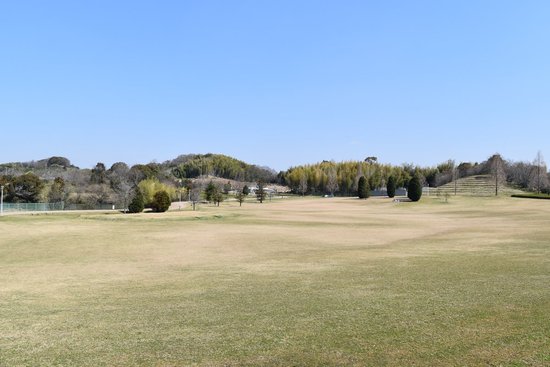 Tombo Ike Park
