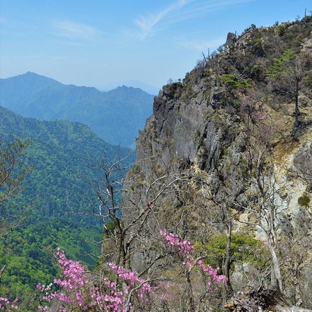 Mt. Katamuki
