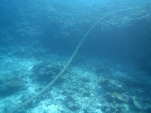Minna Cable