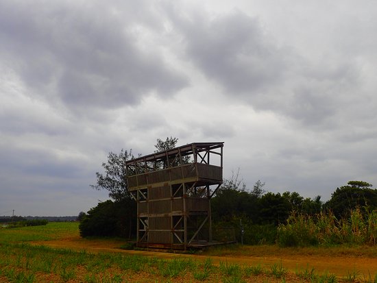 Oike no Ohirugi Gunraku