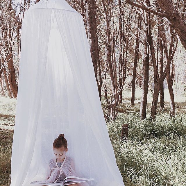 Dream Canopy