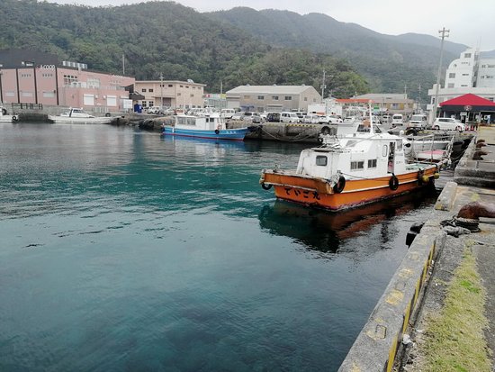Nikoya Port
