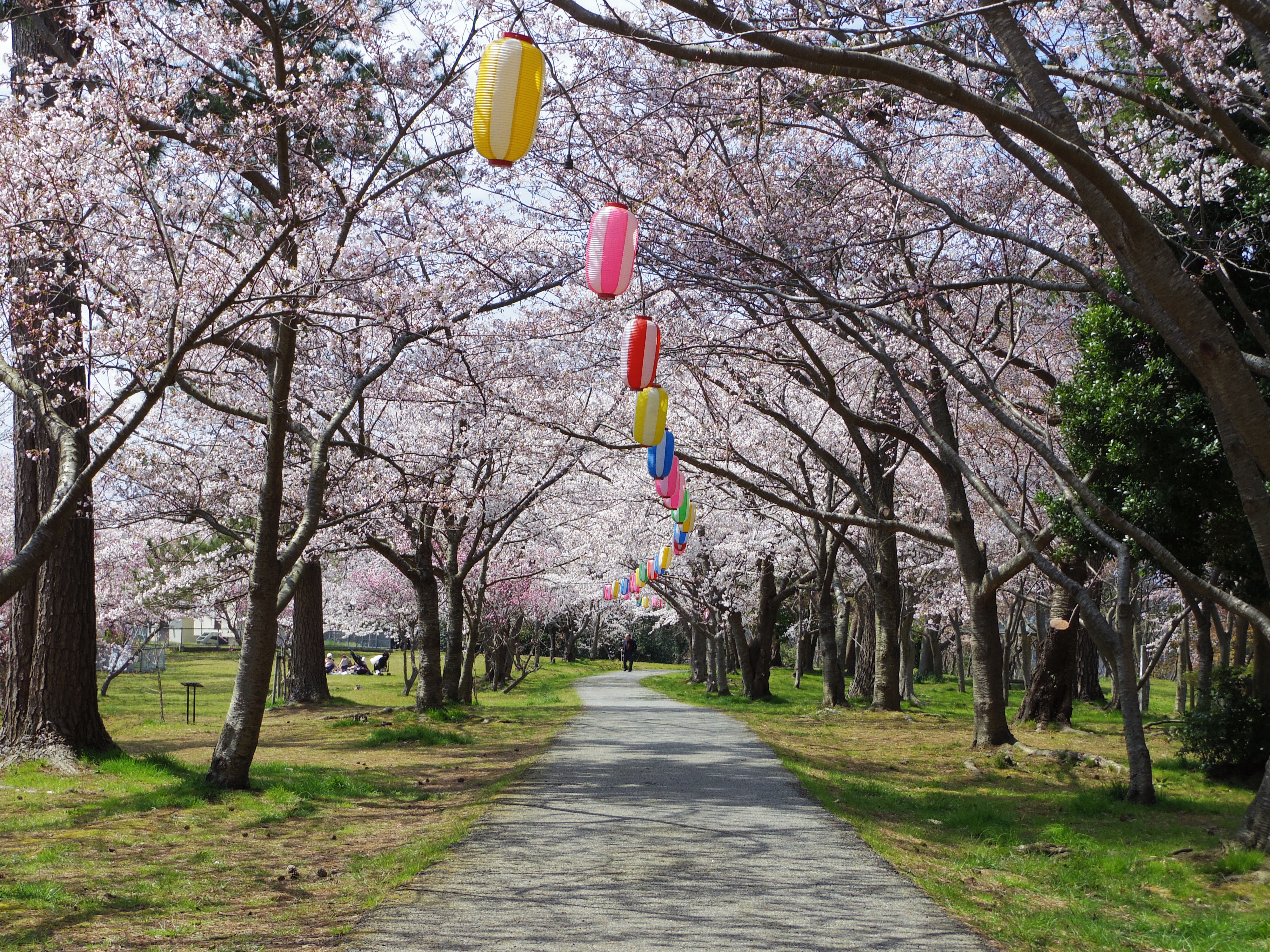 Ippommatsu Park
