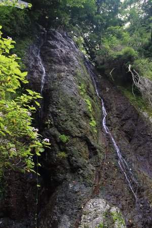 Bodaki Falls