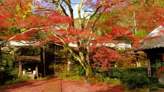Jinzoji Temple
