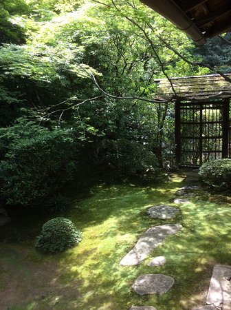 Outdoor Pictures 1