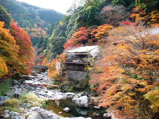 Kiyotaki River