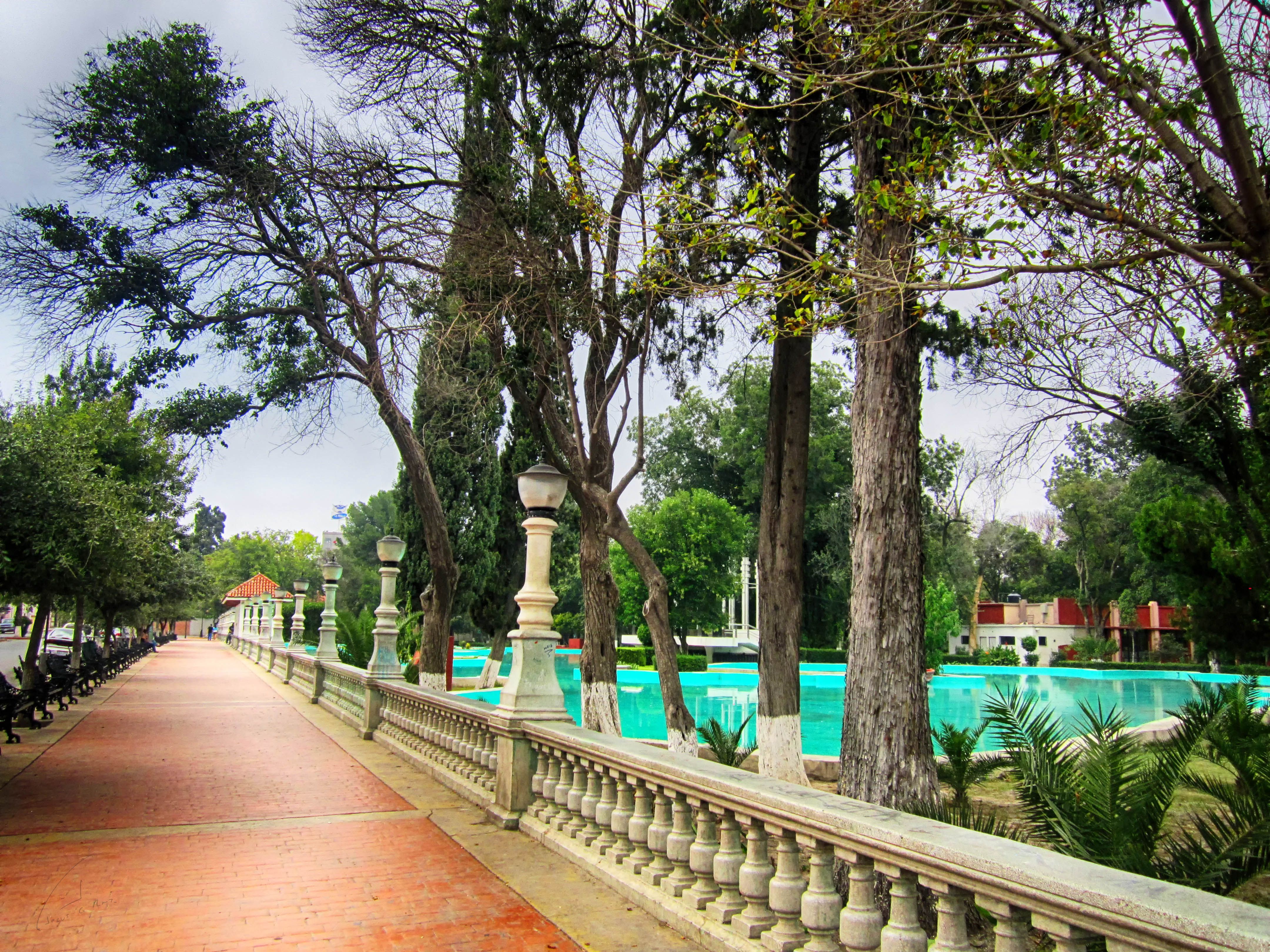 Alameda Zaragoza