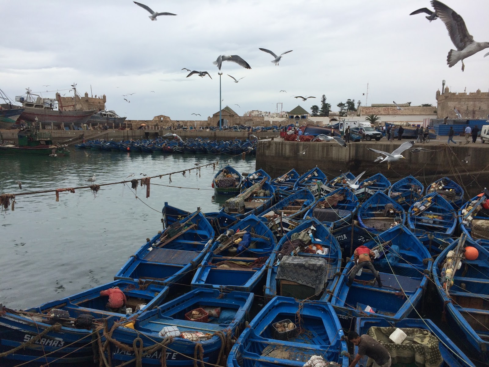 Essaouira Fishing Port