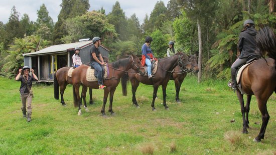 Punakaiki Horse Treks