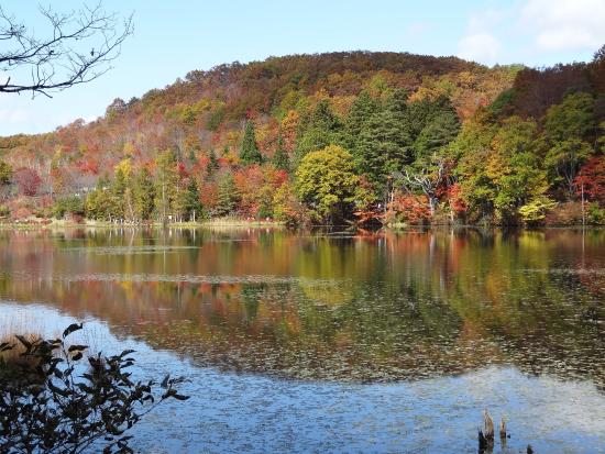Kannonnuma Forest Park