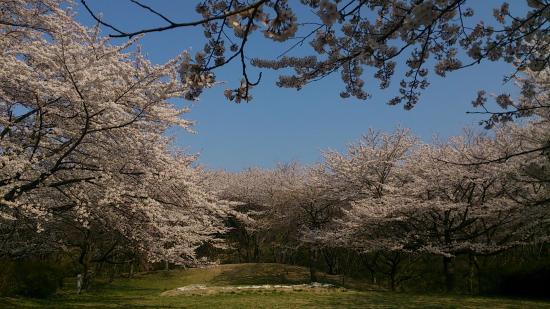 Chomeidate Park