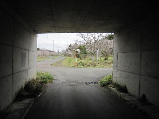 Miyazawa Ruins