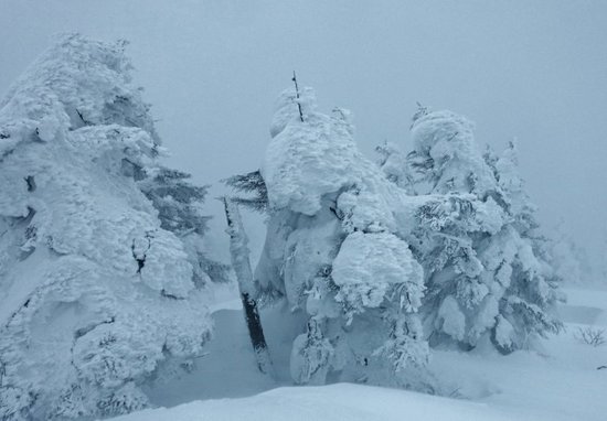 Sumikawa Snow Park