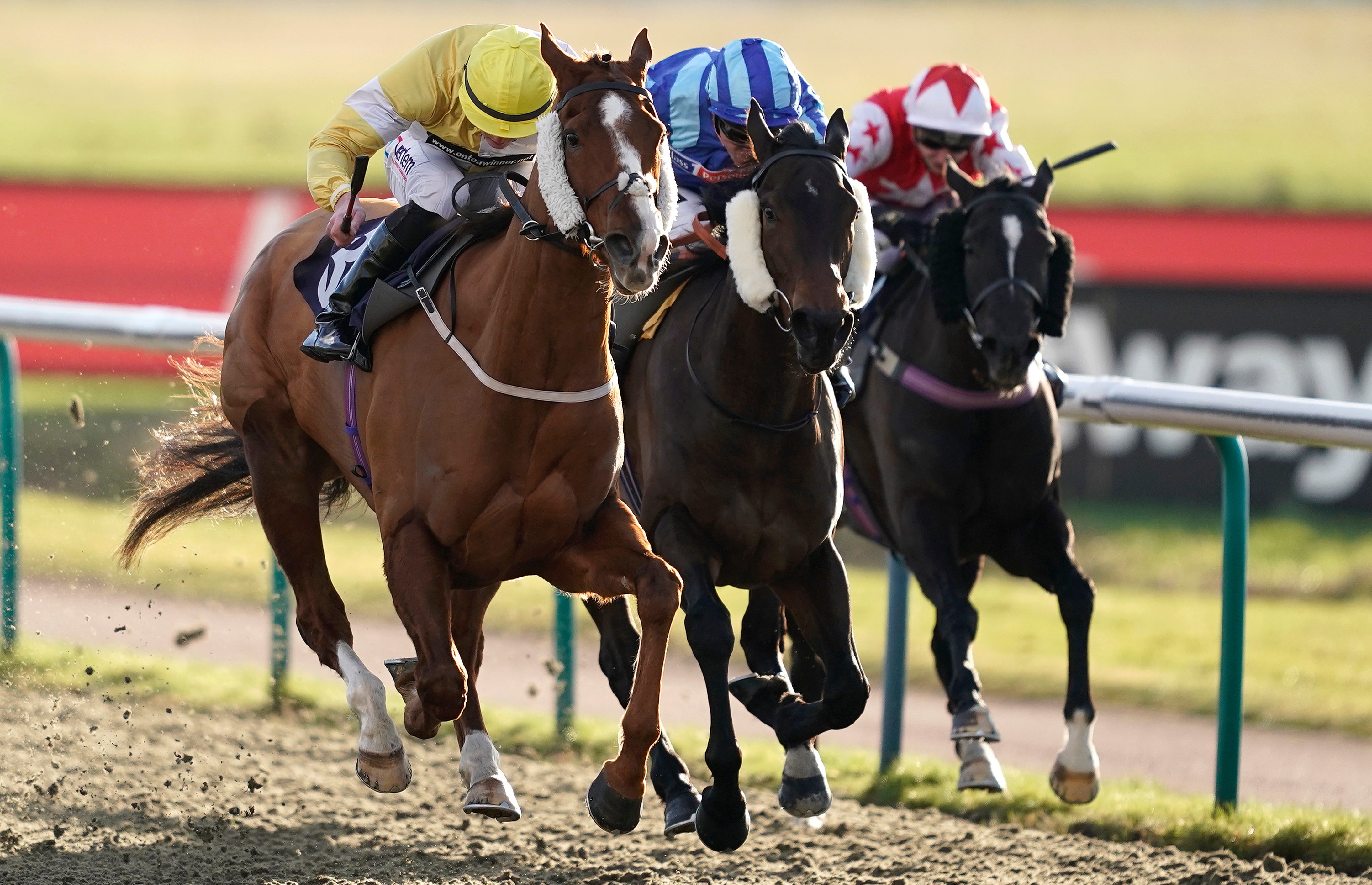 Kochi Horse Racetrack