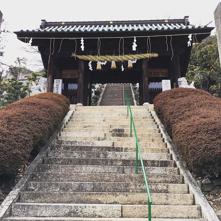 Cycle Shikoku
