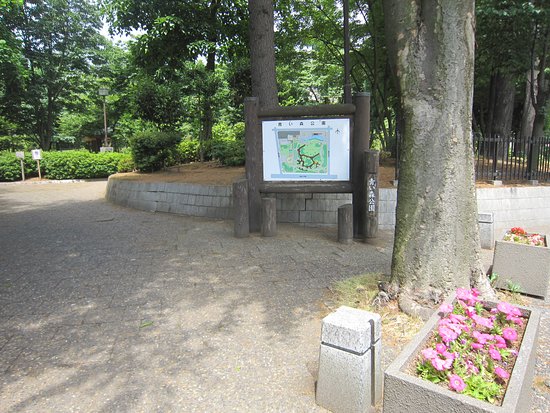 Aoimori Park