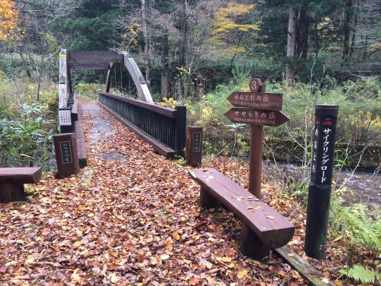 Nibetsu Canyon