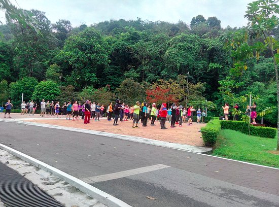 Bukit Kiara Park