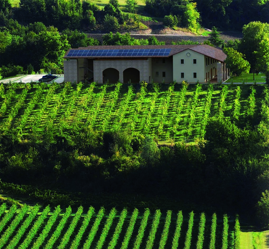 Agricola Guareschi