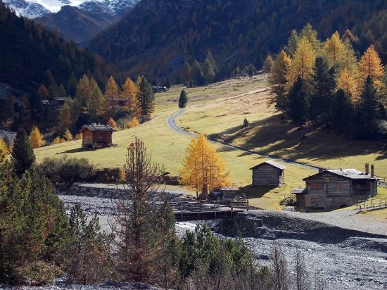 Rifugio Campo 2000