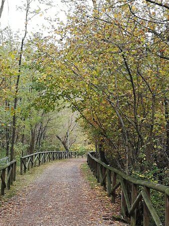 Pista ciclabile Valle Olona