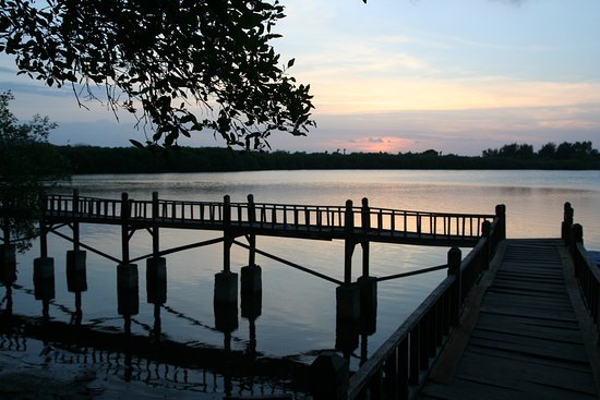 Outdoor Pictures 1