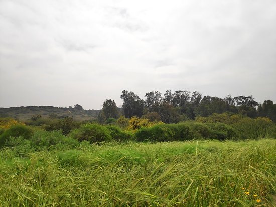 Alexander Stream Hof Bet Yanai National Park