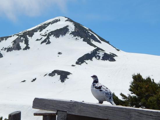 Tateyama Nature Conservation Center