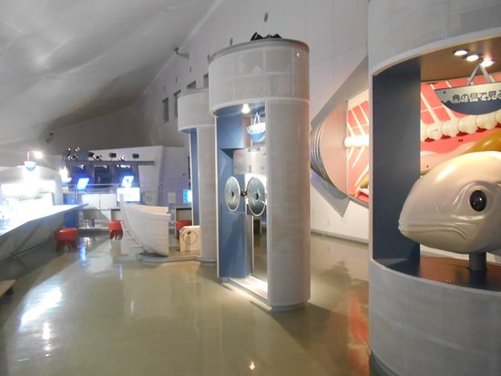 Science Museum of Oceanography and Fisheries