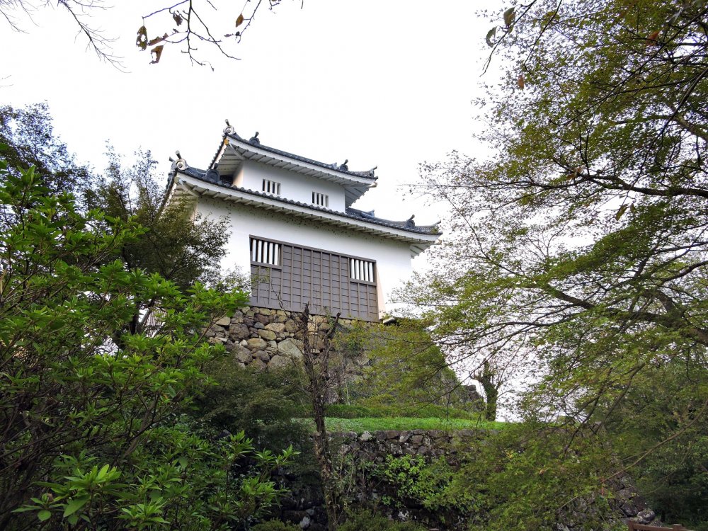Echizen Ono Castle