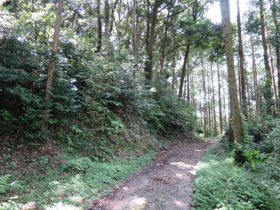 Katsumata Castle Ruins