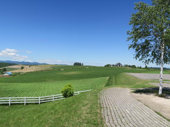 Outdoor Pictures 1