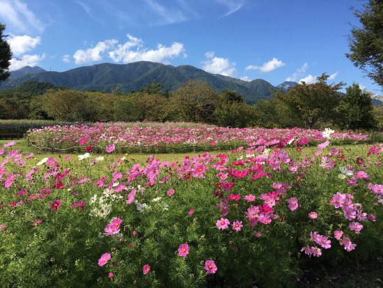 Alps Azumino National Government Park - Horigane/Hotaka