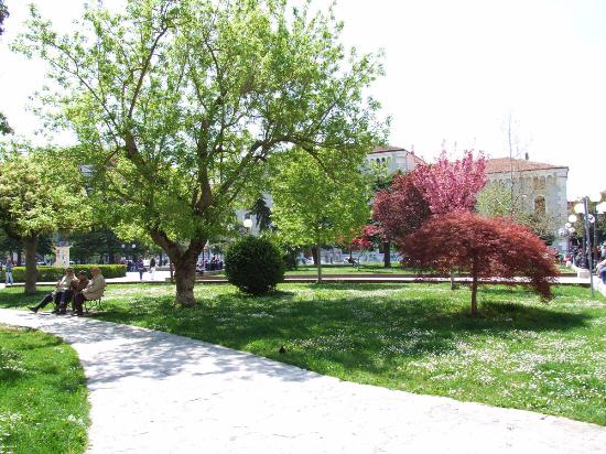 Outdoor Pictures 1